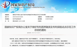 国知局发布做好专利质押融资及专利保险试点示范工作总结 通知